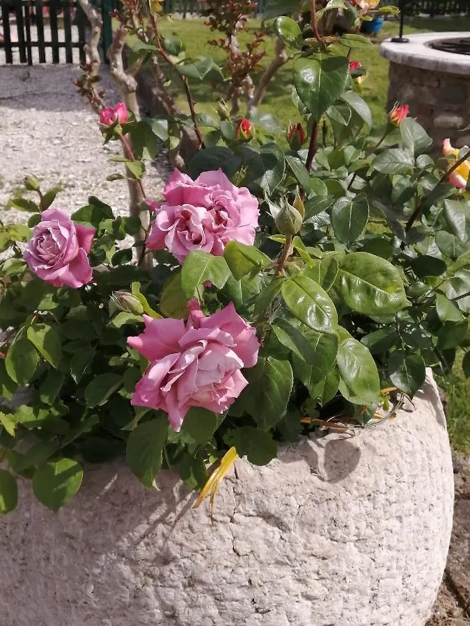 Agriturismo Nuvolino Monzambano Italy